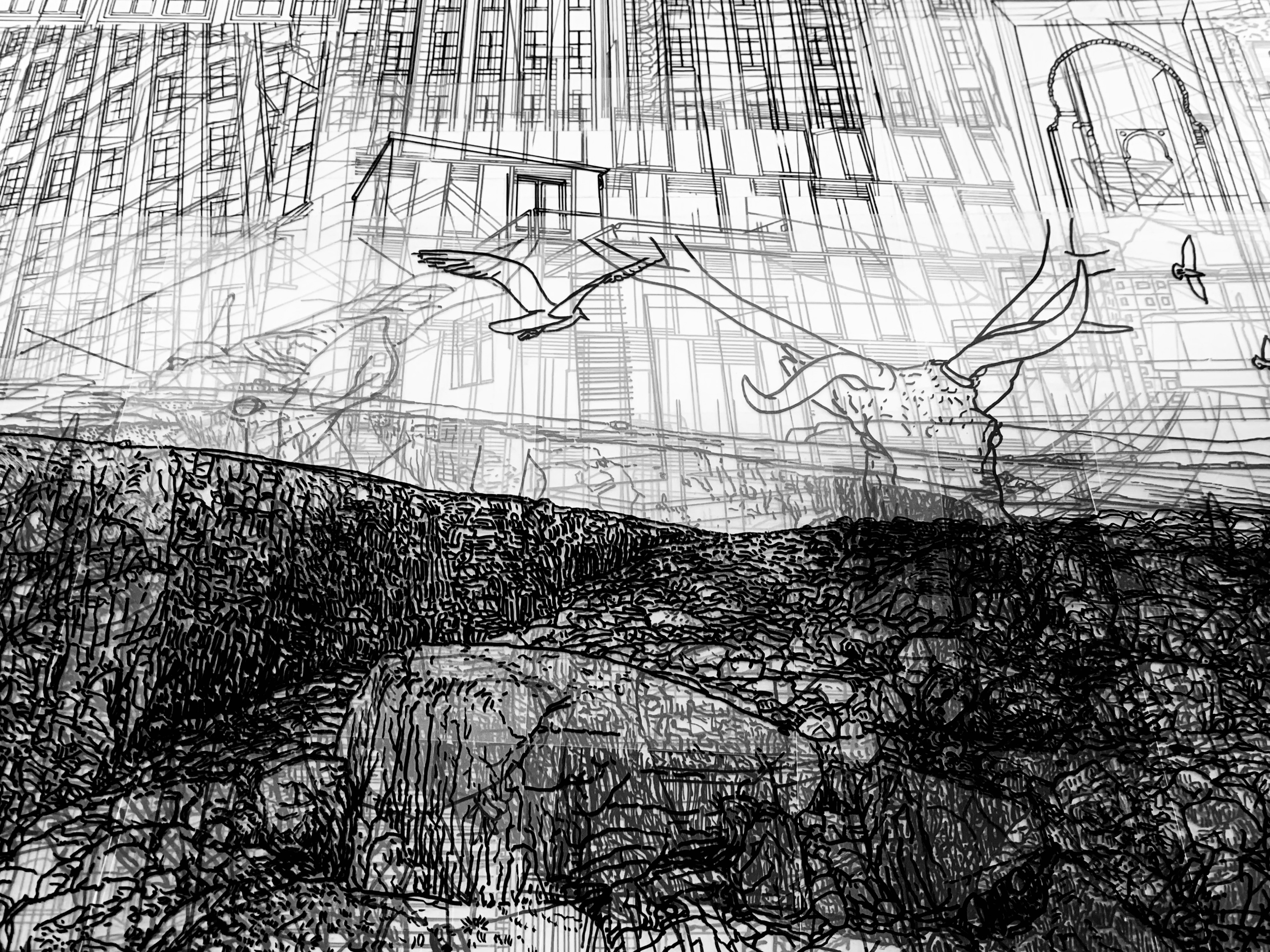 Distant Shore, 2025