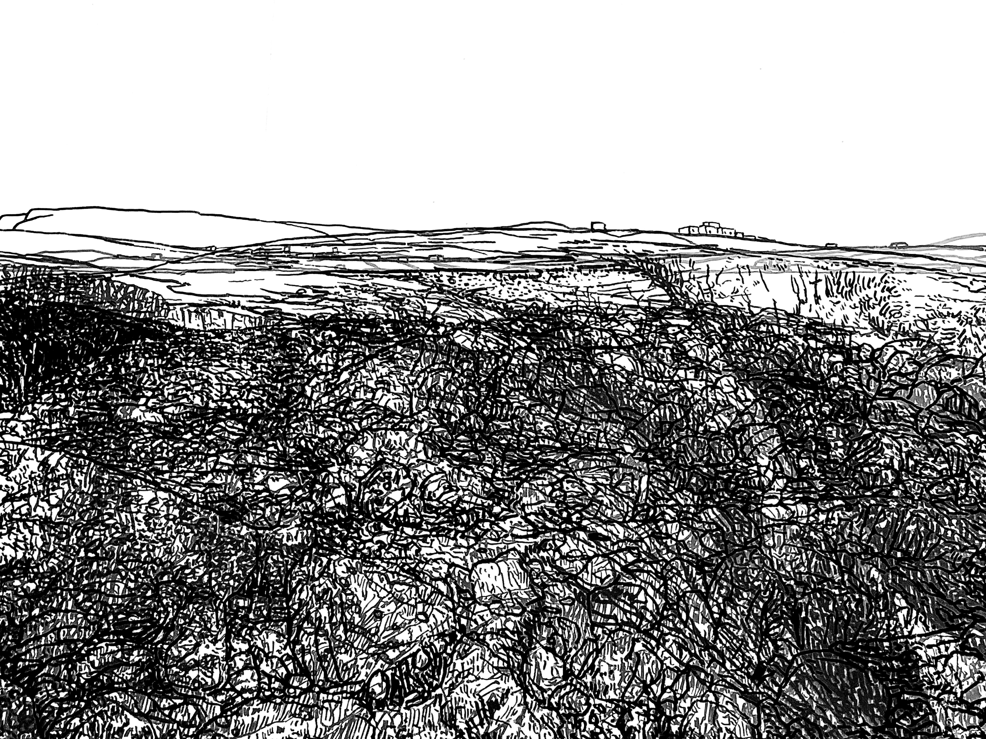 Distant Shore, 2025