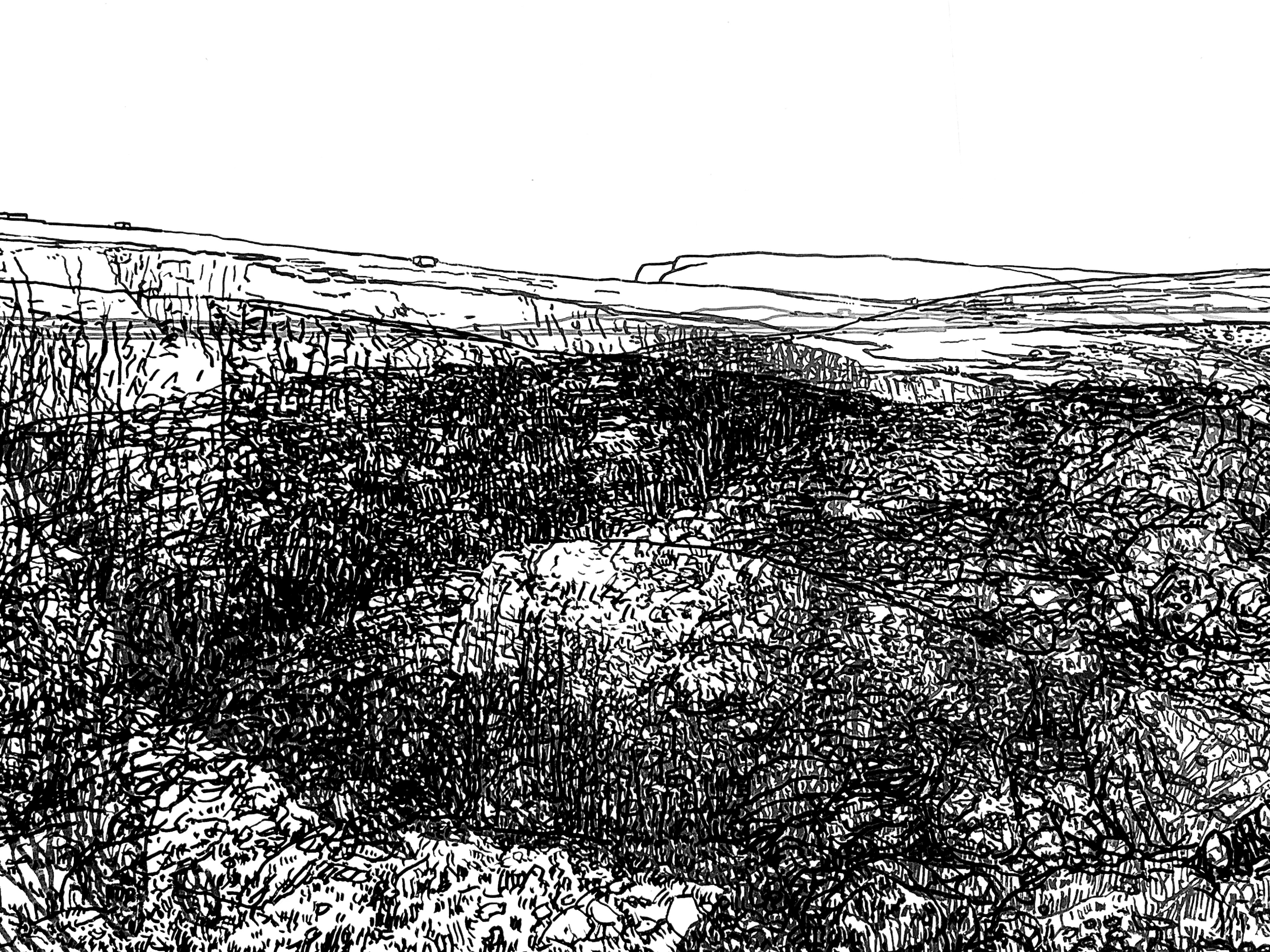 Distant Shore, 2025