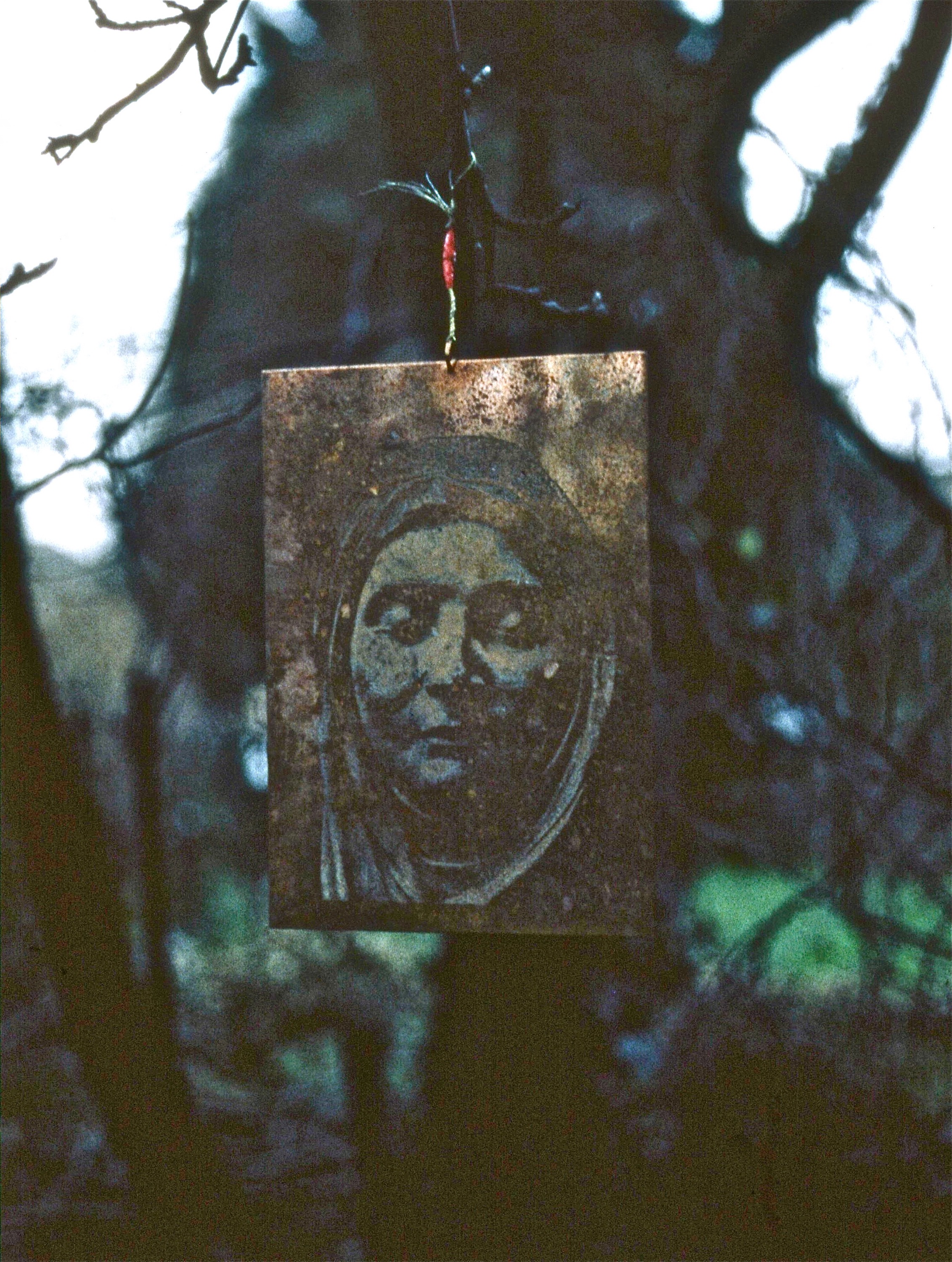 Trees project