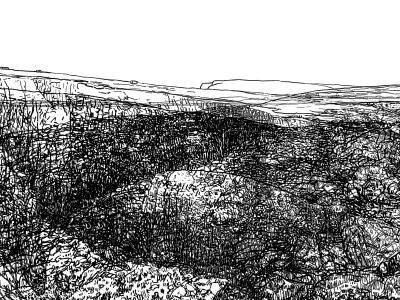 Distant Shore, 2025