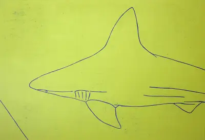 Sarasota II, 2002